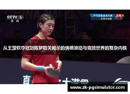 从王楚钦夺冠到陈梦取关揭示的情感波动与竞技世界的复杂内核