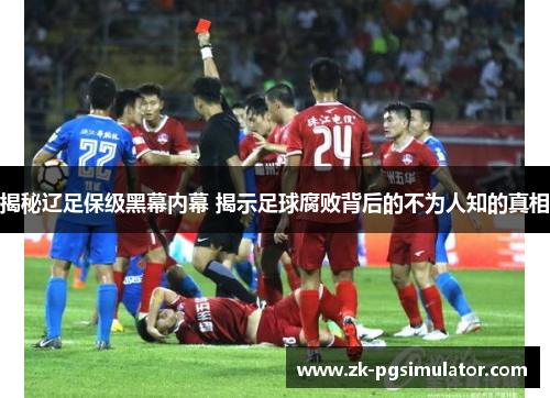 揭秘辽足保级黑幕内幕 揭示足球腐败背后的不为人知的真相