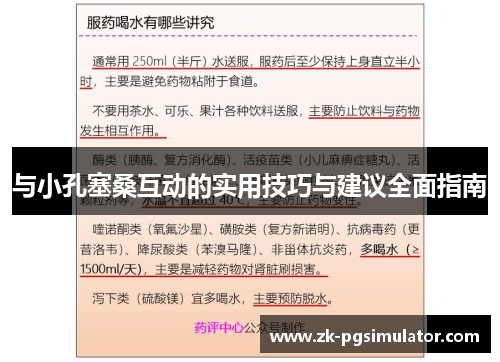 与小孔塞桑互动的实用技巧与建议全面指南