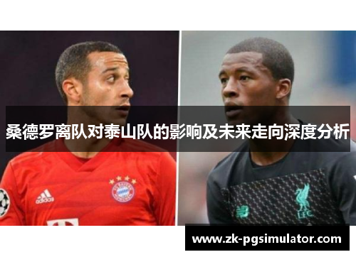 桑德罗离队对泰山队的影响及未来走向深度分析