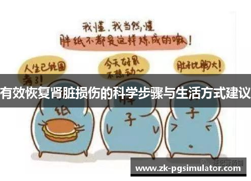 有效恢复肾脏损伤的科学步骤与生活方式建议