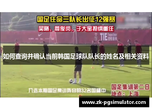 如何查询并确认当前韩国足球队队长的姓名及相关资料