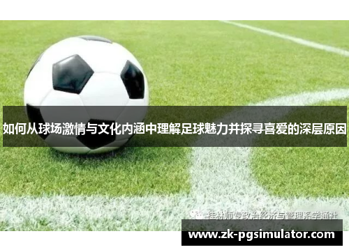 如何从球场激情与文化内涵中理解足球魅力并探寻喜爱的深层原因