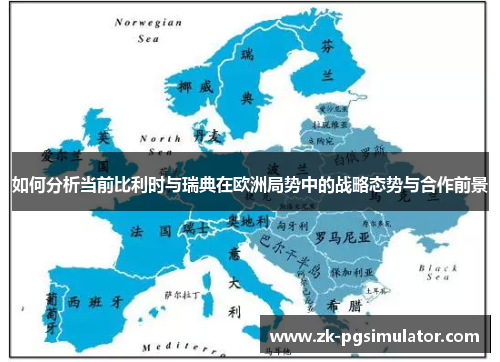 如何分析当前比利时与瑞典在欧洲局势中的战略态势与合作前景