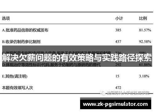解决欠薪问题的有效策略与实践路径探索
