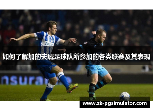 如何了解加的夫城足球队所参加的各类联赛及其表现