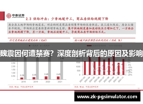 魏震因何遭禁赛？深度剖析背后的原因及影响